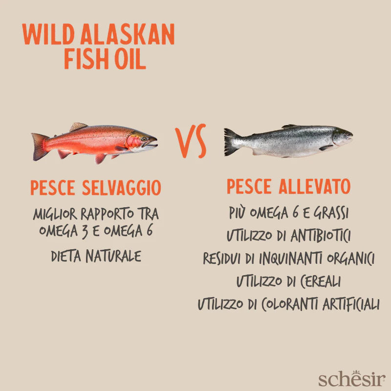 Olio di Salmone per Cani 250ml - Schesir Grizzly Wild Alaskan Olio di Salmone per Cani 250ml - Schesir Grizzly Wild Alaskan